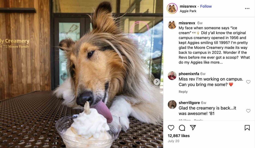 An Instagram post from the Miss Rev account where the pup can be seen eating an ice cream from the school's creamery
