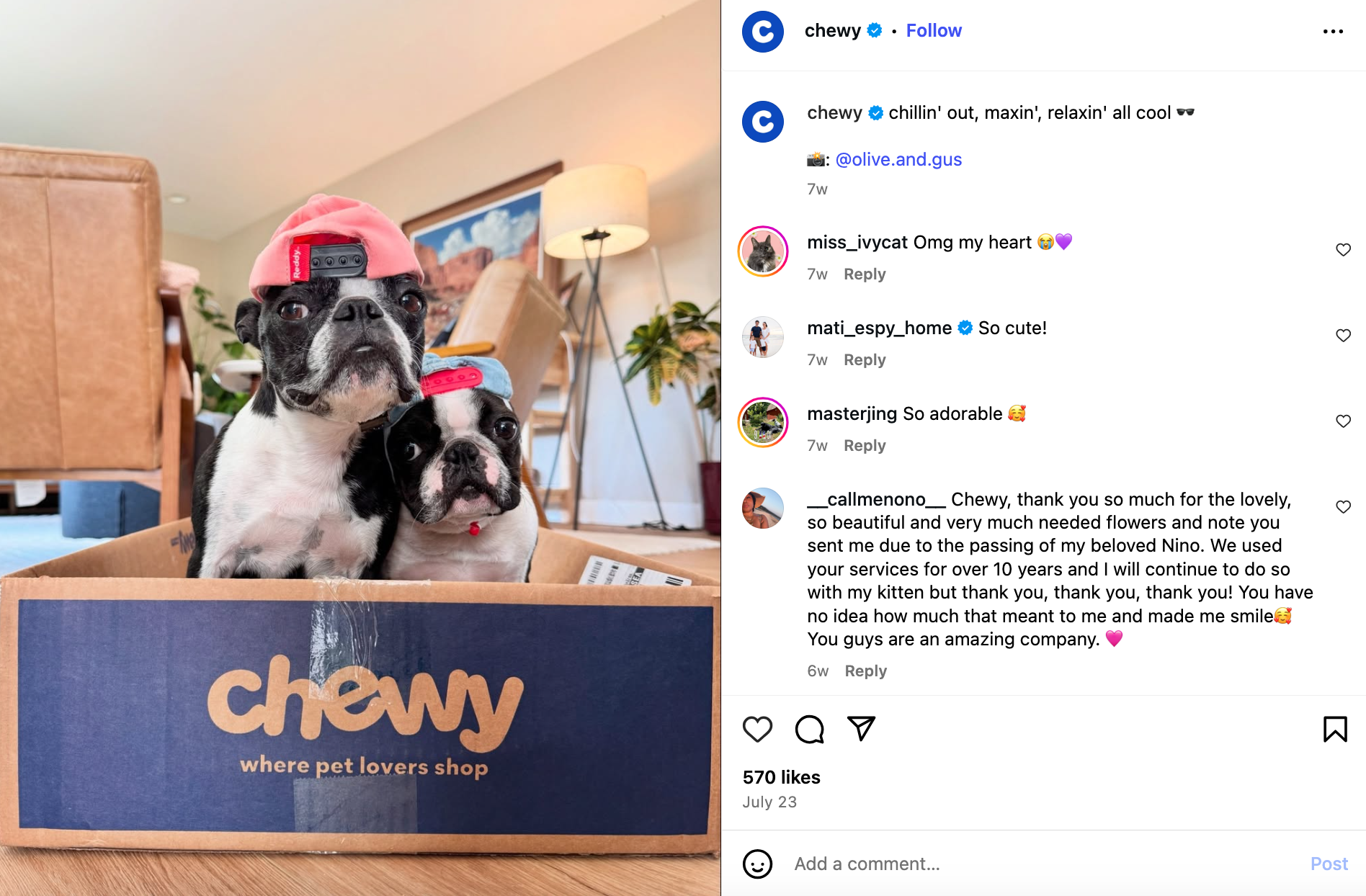 Chewy sharing a photo of one of their customer's pets as user-generated content on Instagram.