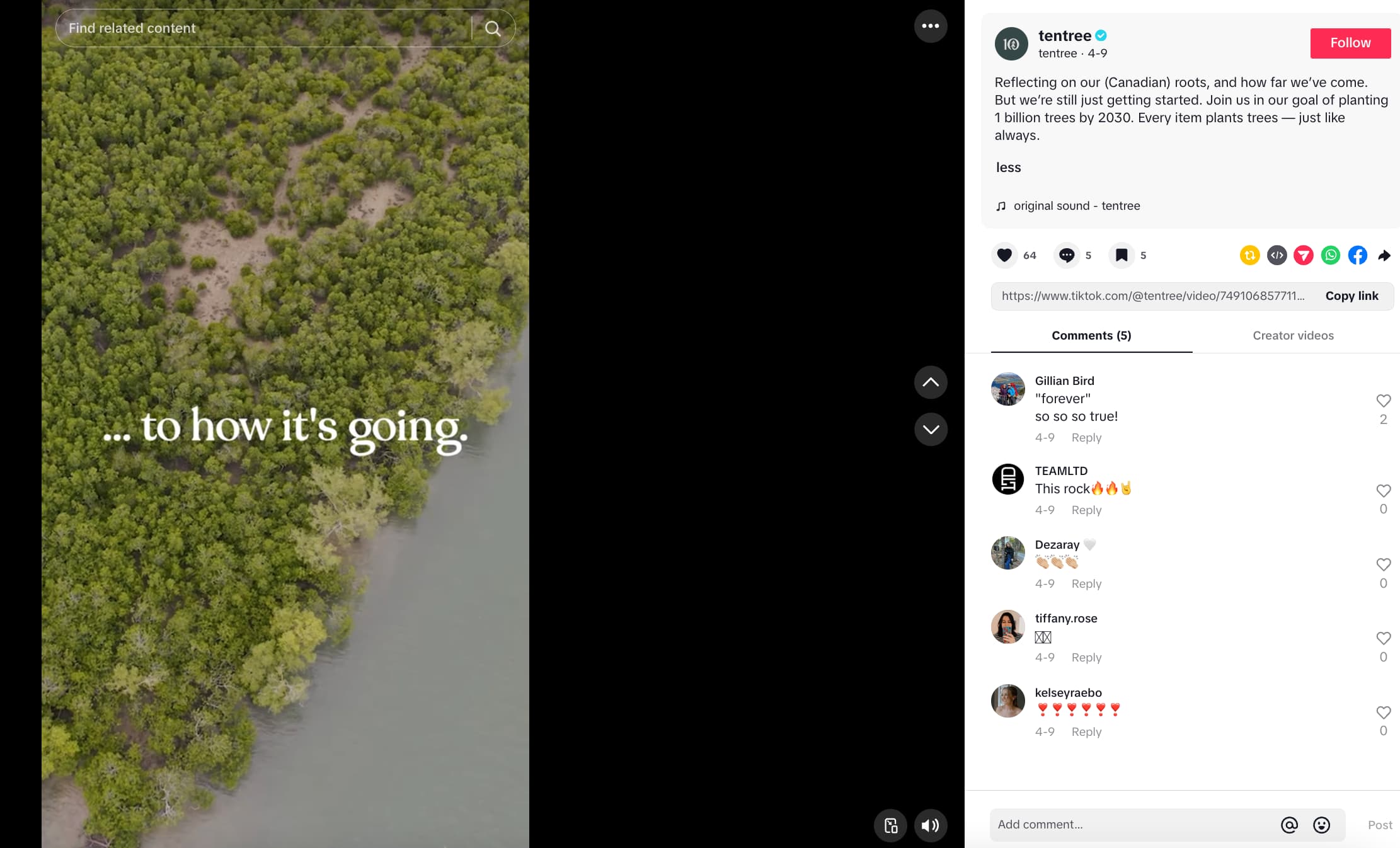 tentree TikTok video showing a tree-filled land and text that reads "...to how it's going"