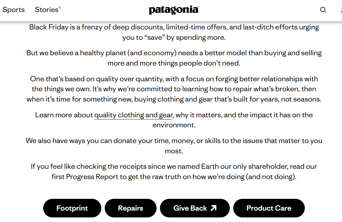 Patagonia's Black Friday website page