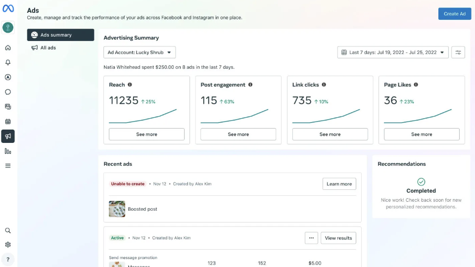 The Meta Business Suite Ads dashboard shows reach, post engagement, link clicks and page likes