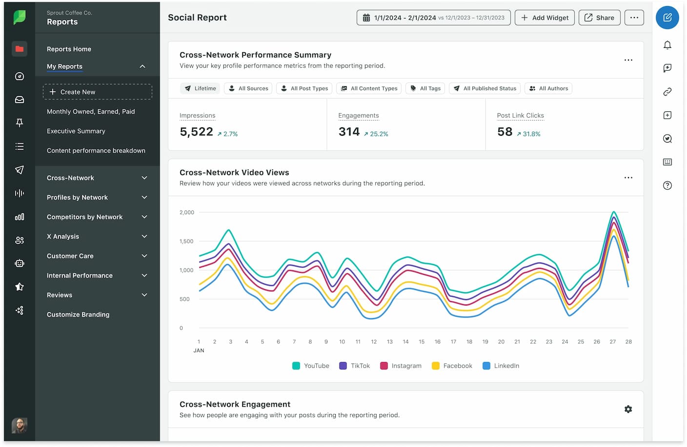 Sprout interface for cross-network video views, showing a line graph for YouTube, TikTok and other networks