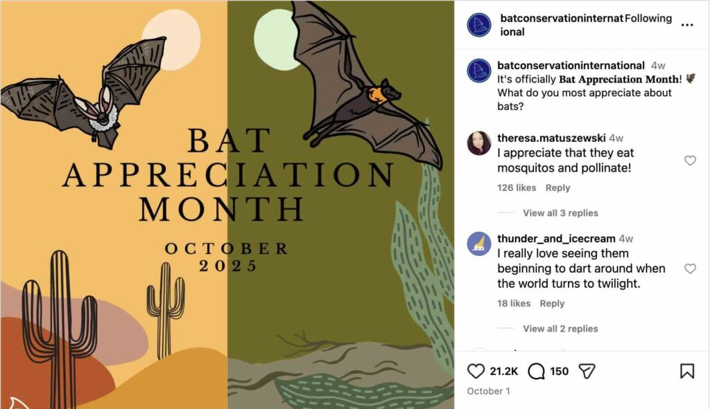 An Instagram post from Bat Conservation Internal about Bat Appreciation Month, with a comments section where people share their favorite things about bats 