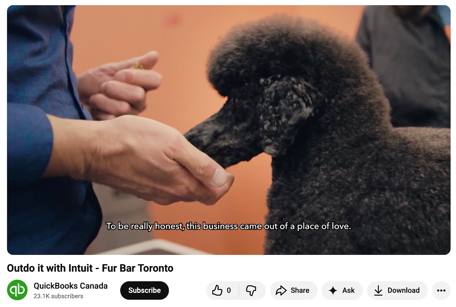 Small business testimonial video from QuickBooks Canada featuring customer Fur Bar Toronto