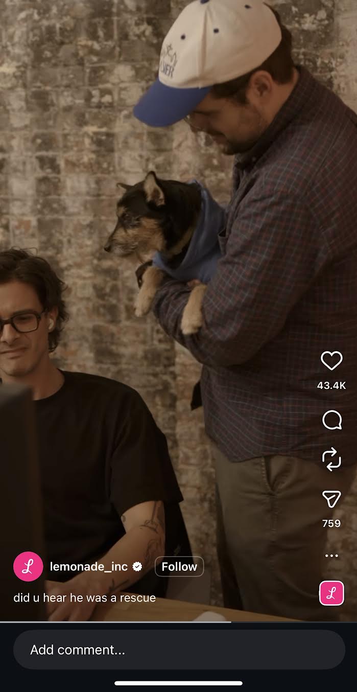 An example of Lemonade embedding humor and cultural relevancy into their content