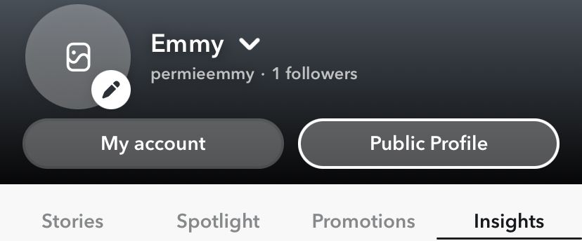 Screenshot of Snapchat profile showing Stories, Spotlight, Promotions and Insights options, with Insights highlighted