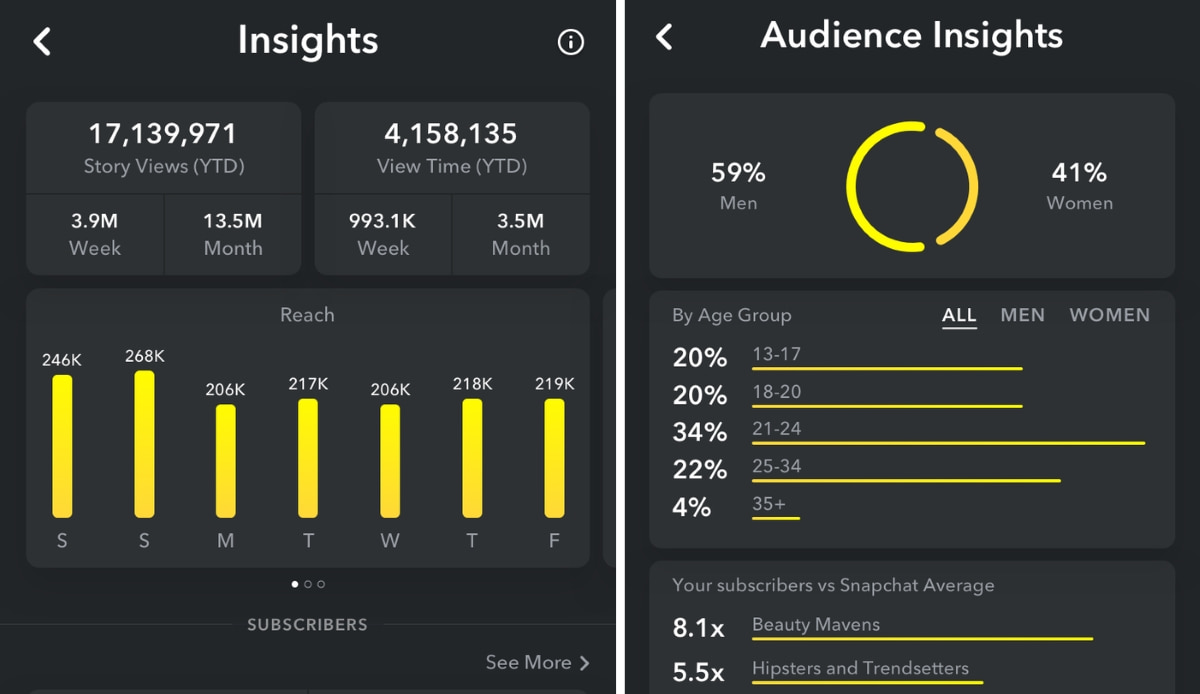 Snapchat Insights dashboards show Story Views, View Time, weekly reach bars and Audience Insights with gender and age