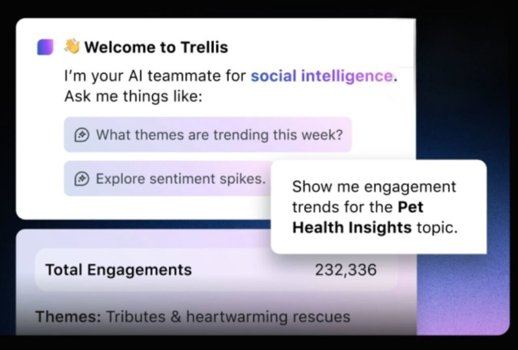 Trellis, Sprout Social’s Insights+ AI agent