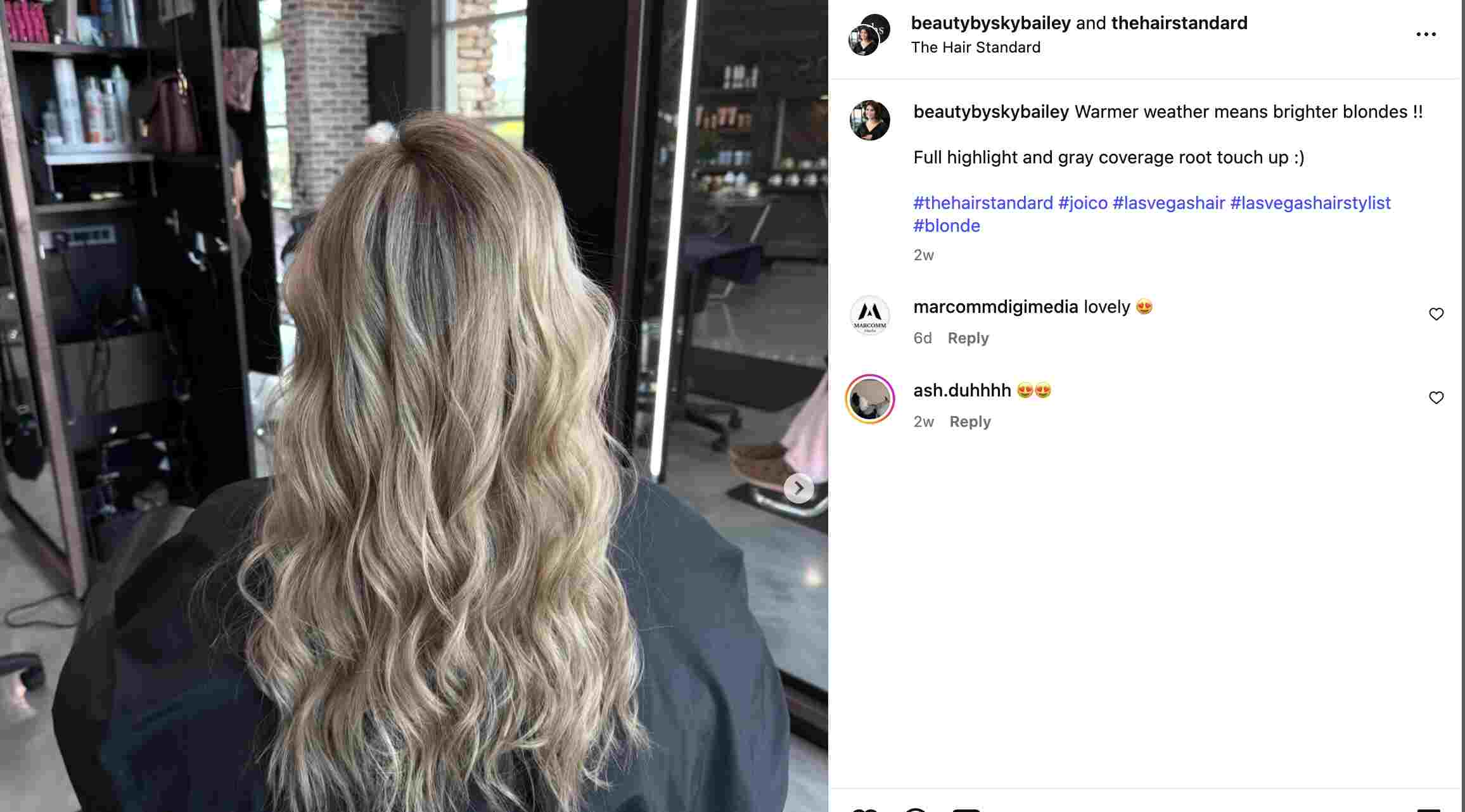 The Hair Standard IG Caption Small Business Example