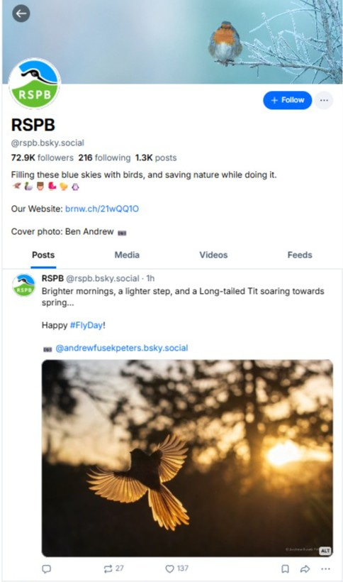 RSPB bluesky social profile with image of bird in flight