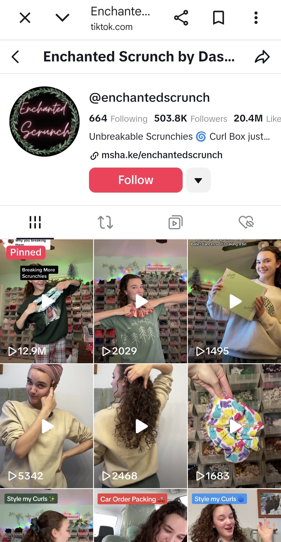 Enchanted Scrunch TikTok account featuring the small business founder demonstrating unbreakable hair scrunchies and behind-the-scenes content.
