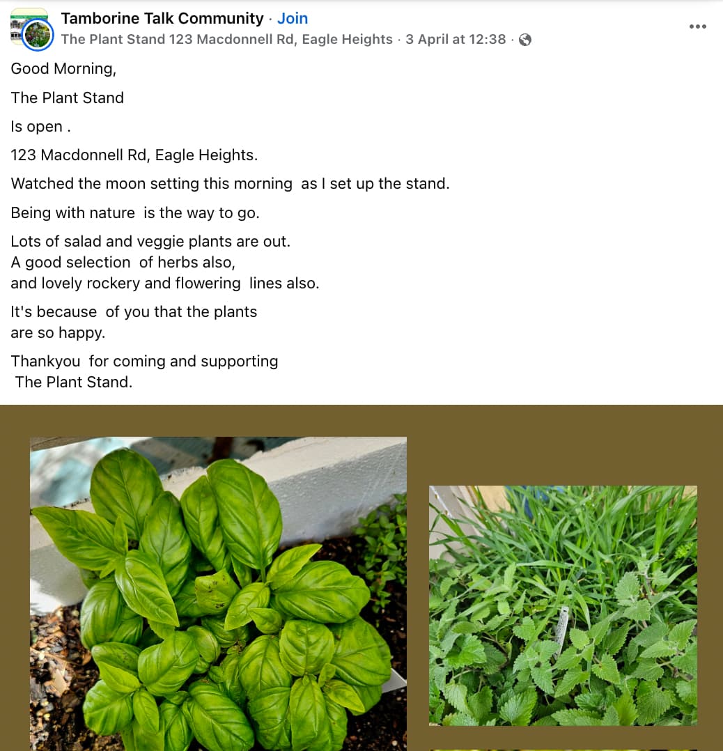 Facebook post by a local business to the Tambourine Talk Community featuring two images of plants and a caption that shares updates about what's in stock