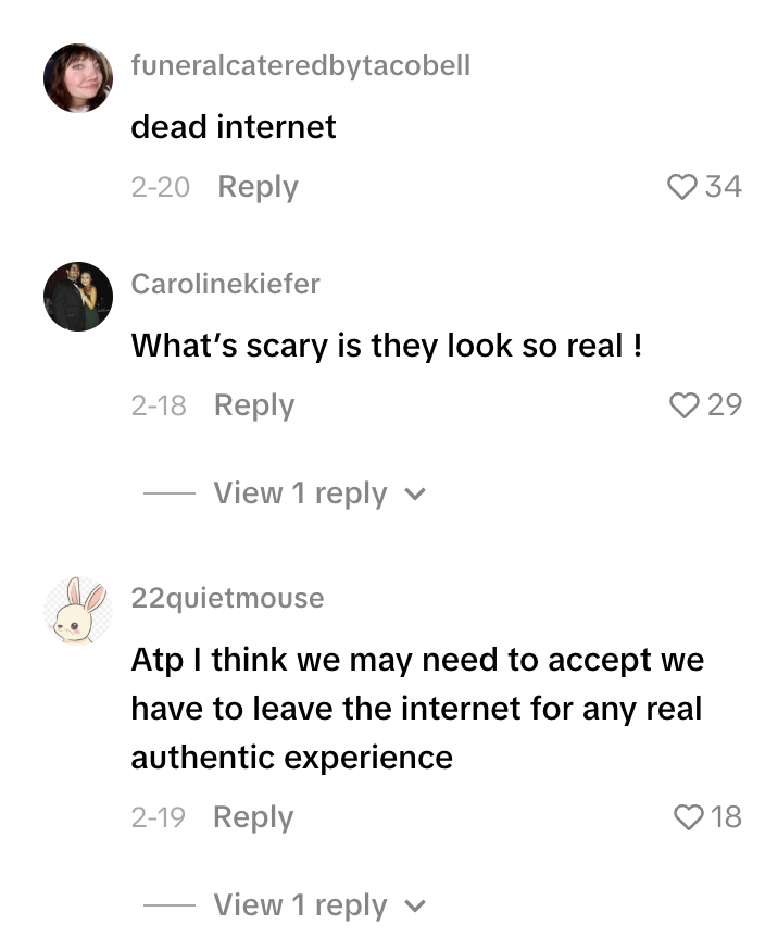 The TikTok comment section of a video about AI creators. One user commented: Dead internet. Another said: What's scary is they look so real. The last comment says: Atp I think we may need to accept we have to leave the internet for any real authentic experience.