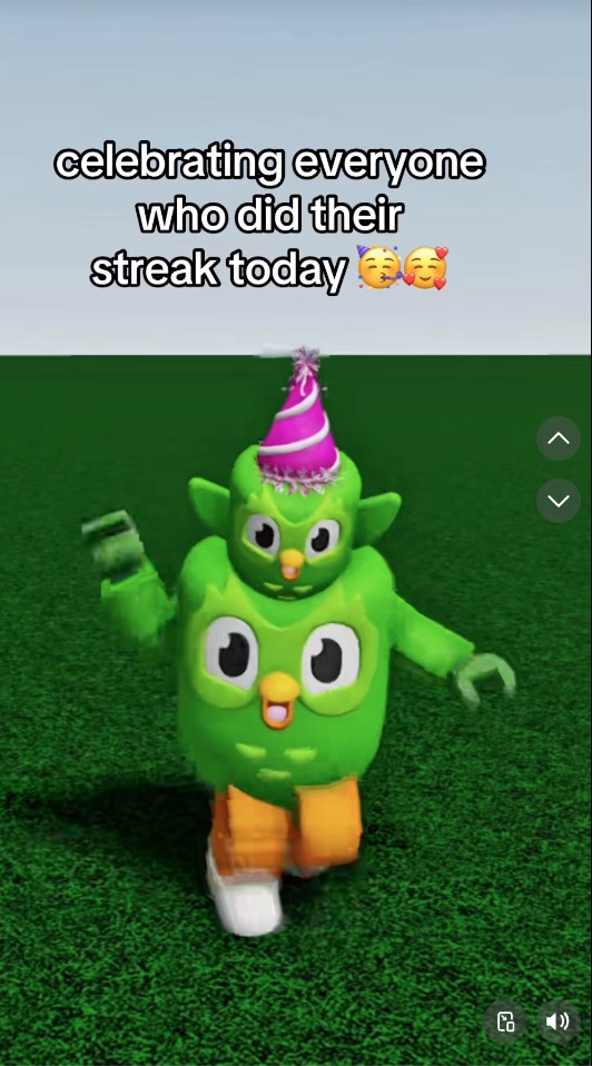 A blocky, 3D avatar of the green Duolingo owl wearing a pink party hat dancing on a grassy field. Text overlay reads: "celebrating everyone who did their streak today"