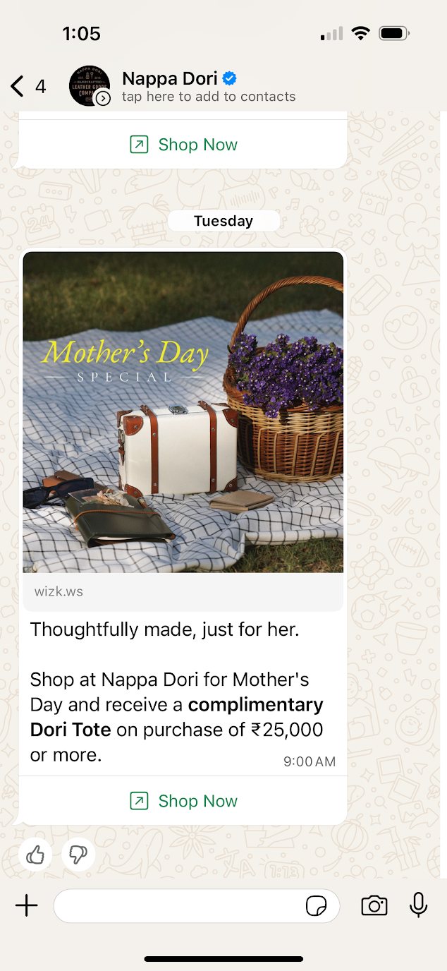 WhatsApp message from Nappa Dori showing a Mother's Day Special promotion featuring a white box bag with a basket of flowers on top of a picnic blanket and a message offering a complimentary tote with a CTA button to "Shop Now"