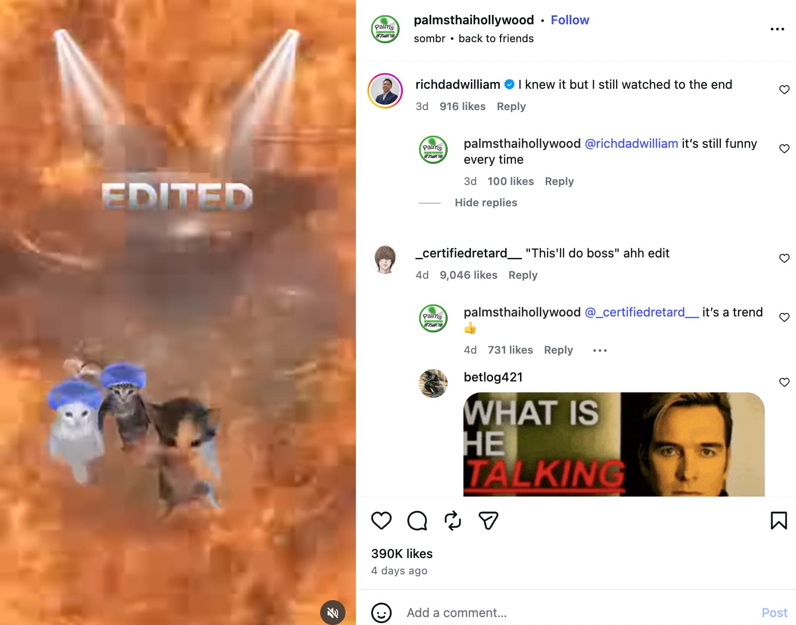 An Instagram post from Palms Thai Hollywood showing three kittens dancing against the backdrop of fire and stage lights and the comments section showing the restaurant responding to comments