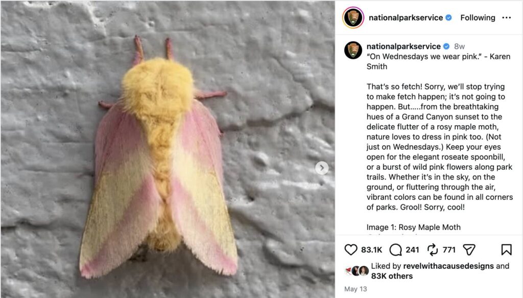 An Instagram post from the National Park Service that features pink moths and a caption that references the Millennial classic "Mean Girls"