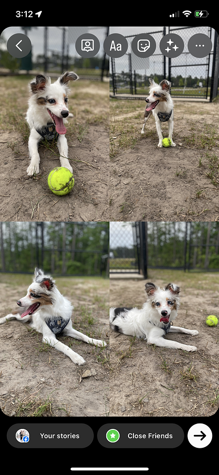 A screenshot of a story with multiple images