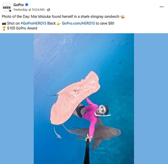 Facebook post by GoPro featuring an underwater selfie of a diver swimming next to a pink stingray and a shark, tagged with the hashtag #GoProHERO13.