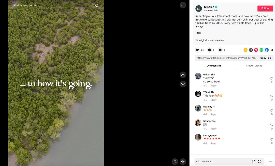 tentree TikTok video showing a tree-filled land and text that reads ...to how its going