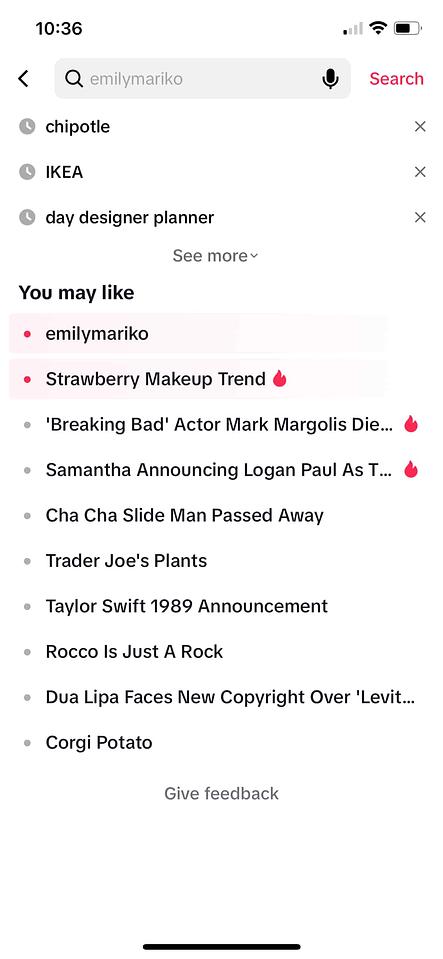 TikTok search window with a drop-down menu showing a list of trending topics under You may like section
