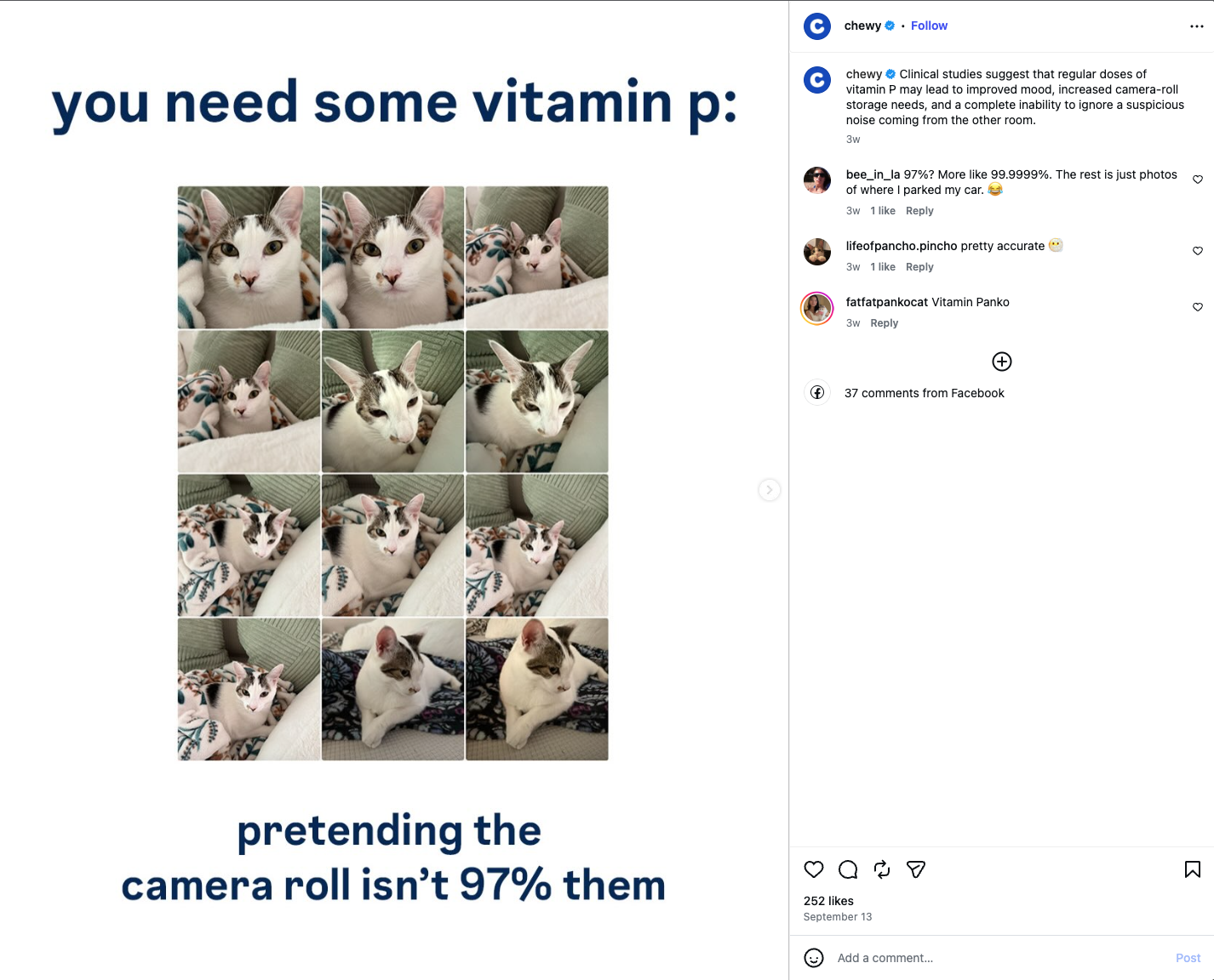 Chewy Instagram meme that says "u ned some vitamin p" with a camera roll of a cat.